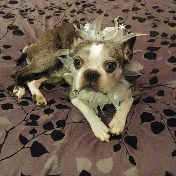 Meet your Posher, Vanessa - Picture 5 of 6